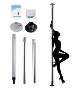 Silver Portable Pole